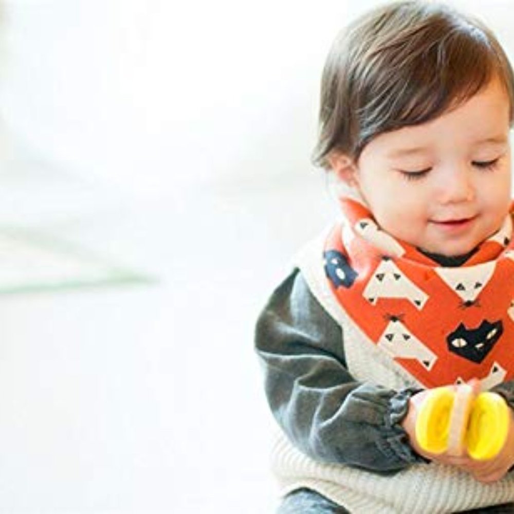 Fox Baby Bib
